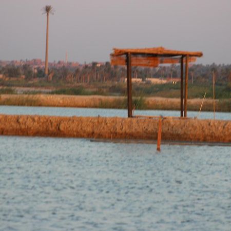 Kom El Dikka Agri Lodge ‘Izbat an Nāmūs Buitenkant foto