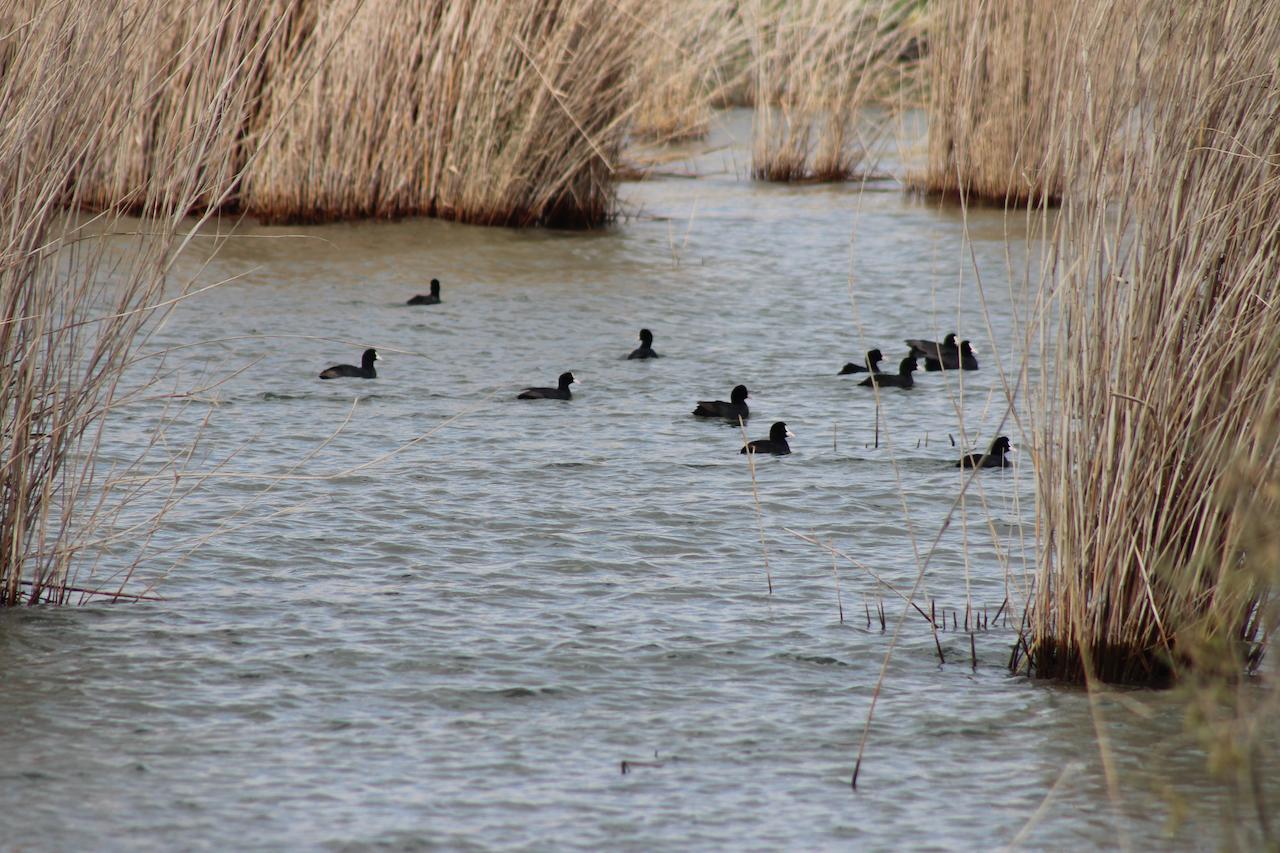 Kom El Dikka Agri Lodge ‘Izbat an Nāmūs Buitenkant foto