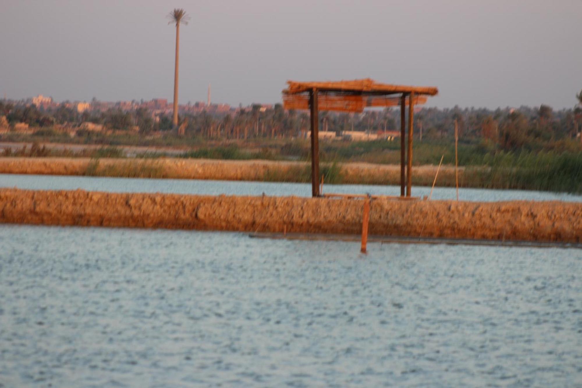 Kom El Dikka Agri Lodge ‘Izbat an Nāmūs Buitenkant foto